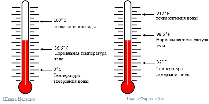 шкала температур